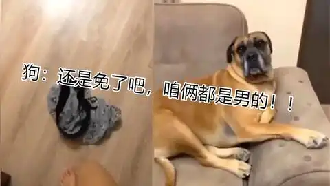 我的手头有点紧