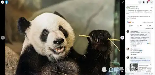 网曝旅美大熊猫吃不饱,瘦骨嶙峋精神萎靡,美动物园回应没这事