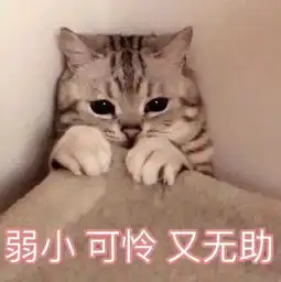 ar美妆这和美图软件有多大区别