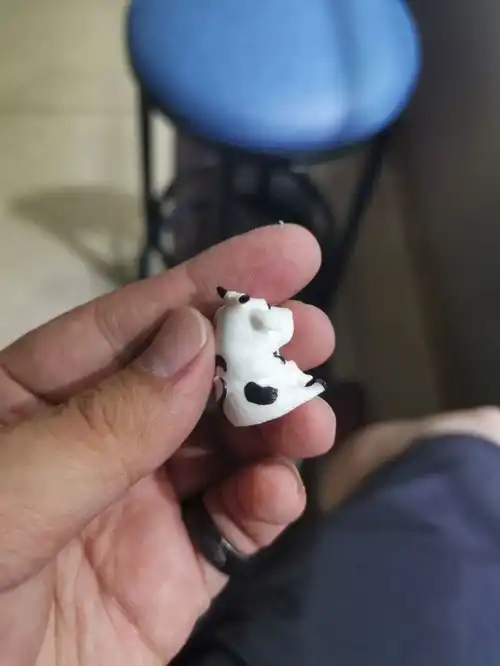 千奇百怪的玛瑙之行