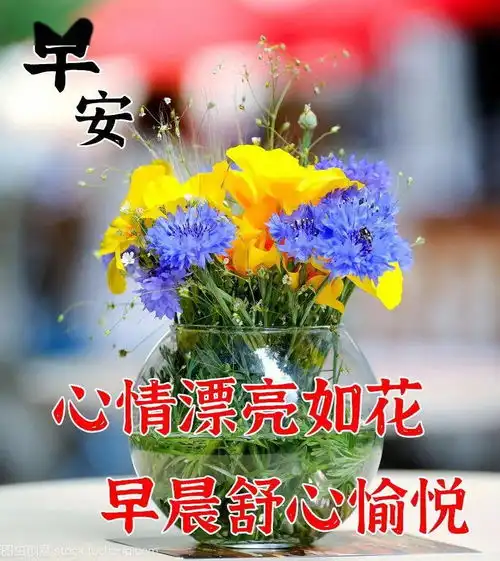 10月6日最漂亮早上好动态表情图片大全,早晨好动图美图大全