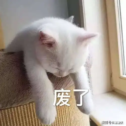 喜欢的表情包进入委屈模式,鸡同鸭讲
