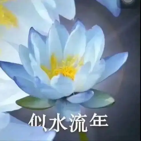 女孩子千万不要随便在网上买衣服,不然哈哈哈这穿了简直是精准露点