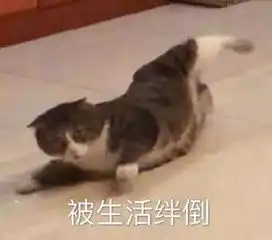 人家都说一个巴掌拍不响,但现在我有两个