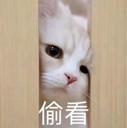 2020年最火妆容盘点丨你化过其中几种妆容