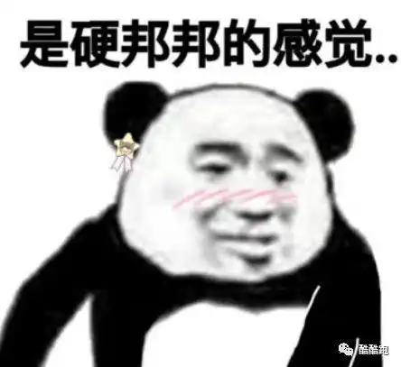 方便面头型表情包熊猫