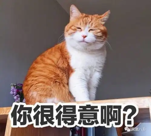 行走的开心果雷佳音不当相声演员太可惜了