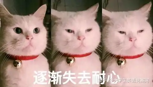 外研社国才杯全国英语阅读大赛readandquestion样题及答案
