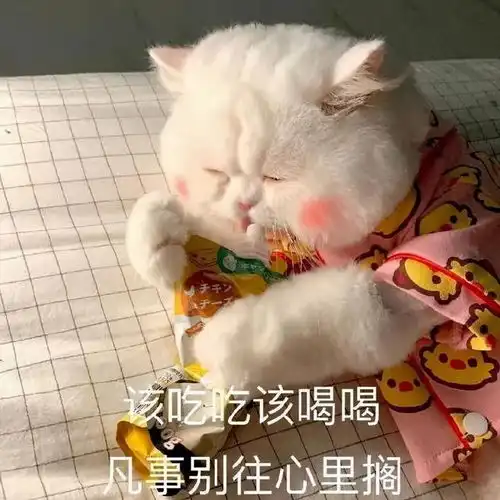 沙雕表情包起太早我会心情不好