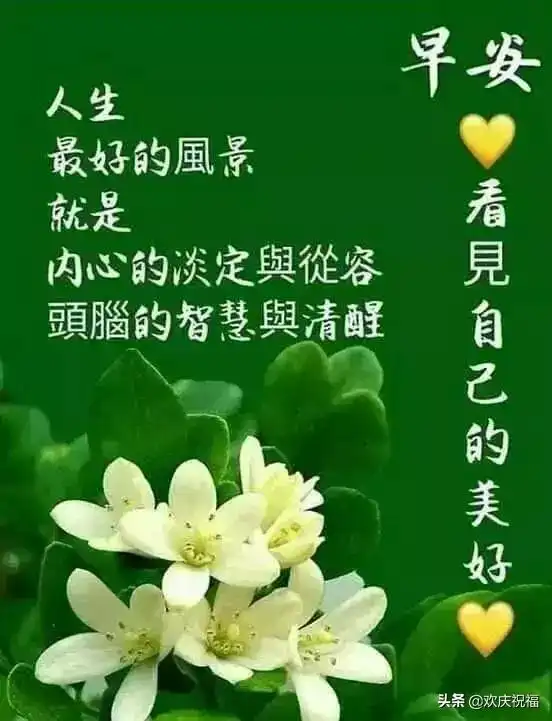 与智者同行,你会不同凡响与高人为伍,你能登上巅峰,早安