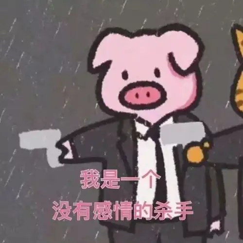 关注同学,你的双新晚会到了,请签收