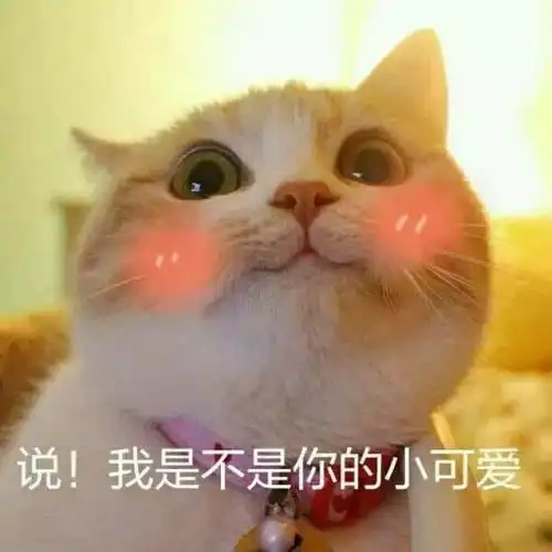 拿走不谢适合朋友圈评论发的50个沙雕表情包