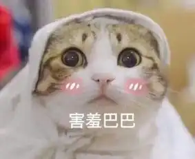nononono猫表情包侮辱性