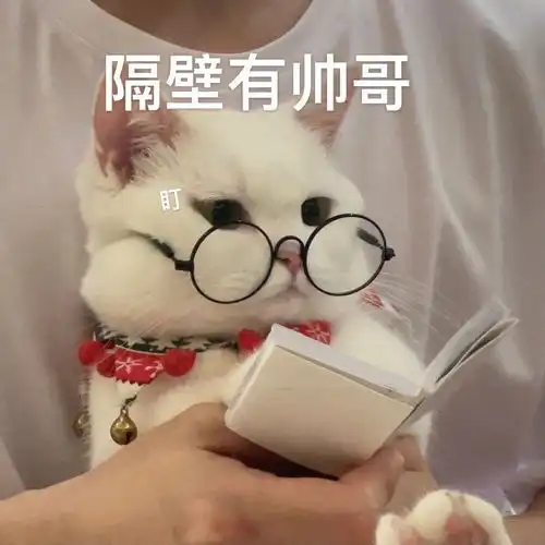 哦呦呦表情包形状