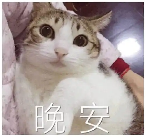 十条笑话姑娘,萍水相逢,你这是何必呢
