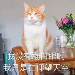 柯基被摔死事件最新进展当事双方均被行拘