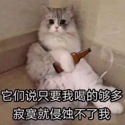整理了一波猫咪表情包,分享给你们