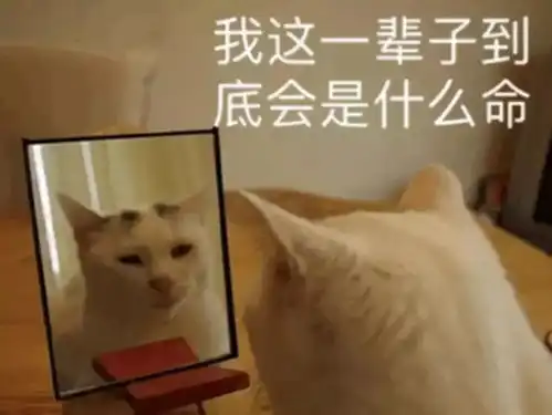 你真的了解你自己吗通过科学游戏的方式测试你的人格