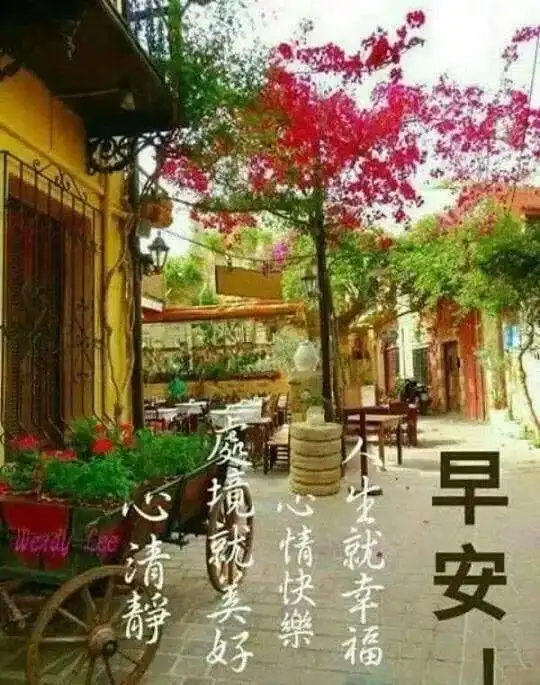 阳光暖人心的早安问候语动态表情图片,早上好动态祝福唯美图片