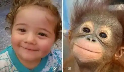 呸表情包可爱小宝宝小动