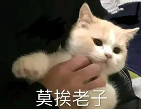 发怒的图片生气表情包表