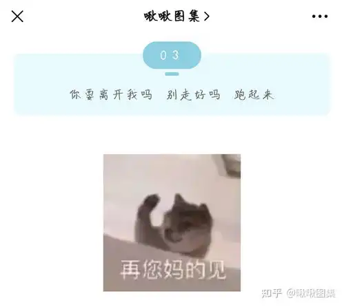 20酷酷拽拽朋友圈文案表情包