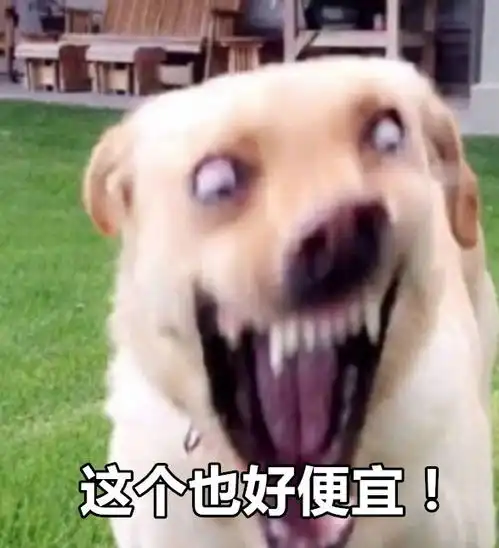 给你力量表情包狗狗