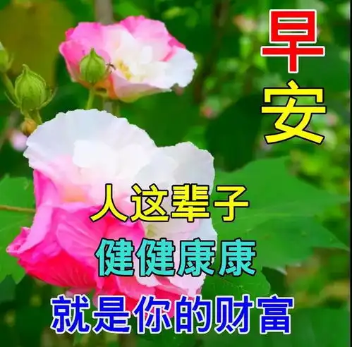 最新周日早安问候语表情包,早上好,天冷了,出去游玩记得保暖
