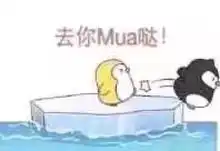表情sir我敲喜欢你鸭