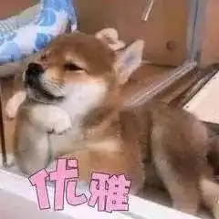 切记,千万别撩爱发表情包的女生