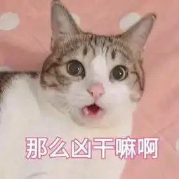 表情包丨来一组超萌的猫咪表情