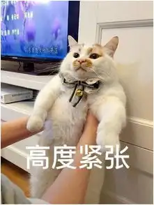 唐人街探案3开拍,主演阵容甚为满意,刘昊然或成终极boss