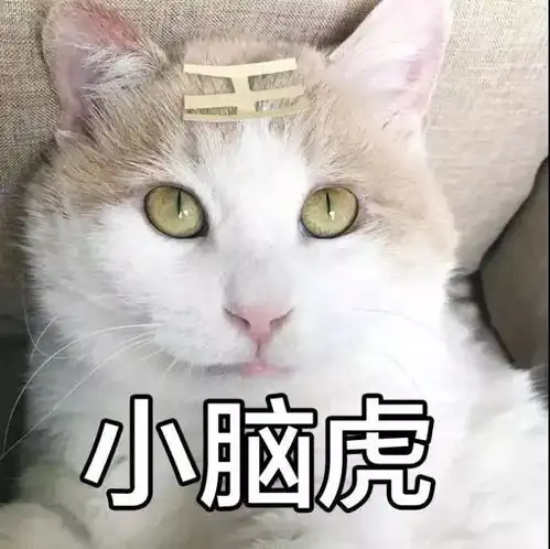 我不是猫我是小脑虎