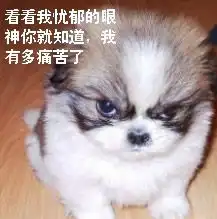 qq表情搞笑qq表情动物图片看看我忧郁的眼神