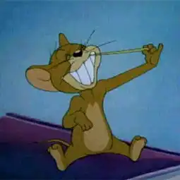 猫猫动漫头像可爱汤姆与