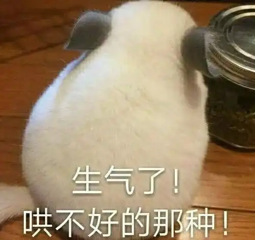 起售价不到12万,名爵hs的用户定位到底是什么