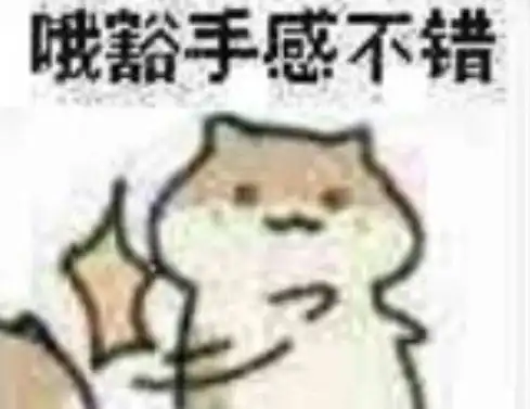 专门拍表情包的软件仓鼠