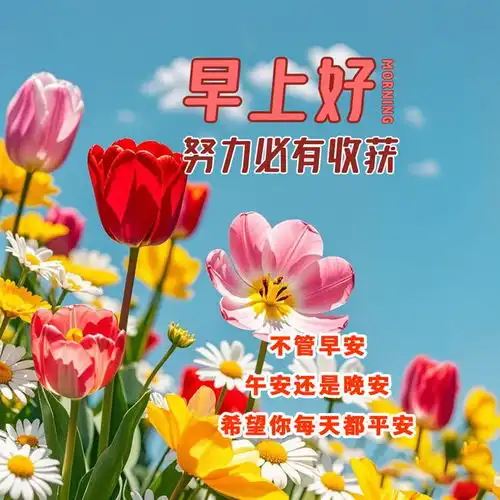 秋天新出的适合微信群发早上好图片精选,早上好问候句子加表情大全早安清晨晨光晨曦网易订阅
