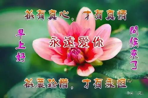 人生,没有回头路感情,无法删除重启,早安