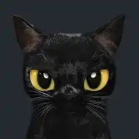 小黑猫眼睛头像情侣