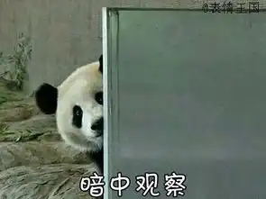 求此系列的表情包,熊猫的