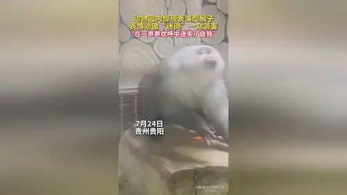 动物园内惊现表演型猴子,表情骄傲迷倒一众游客,在一声声欢呼中迷失了自我来源新华每日电讯...