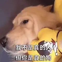 丧表情包我的快乐已经不在,一起当个垃圾好吗