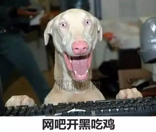 俗话说好女不嫁挖机郎,一年四季守空房,这是真的吗