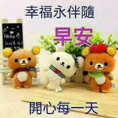 发朋友圈的早安问候动态唯美表情图片,每天一句温馨的问候