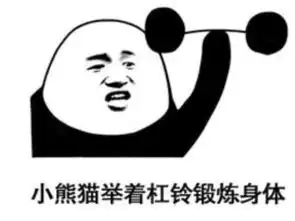 熊猫头搞怪专用卖萌表情小熊猫梳好了一个丸子头