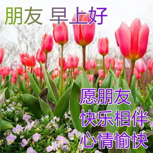 周一最暖心的早安问候闪动图片带表情,平安健康,就是最大的幸福