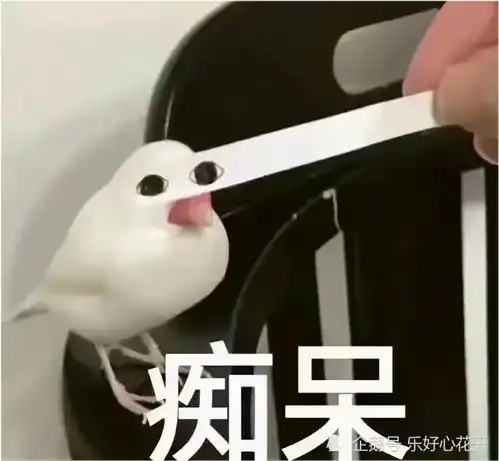 原地昏厥霸总完成度真的得看脸啊