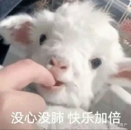 张云雷2020年5月19日到2020年7月8日发生的重要事情