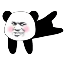 好玩的表情包
